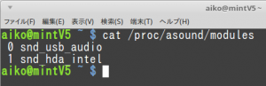 Linux Mint MateでPCオーディオ(8)：常にUSBオーディオインターフェイスから音が出るようにする